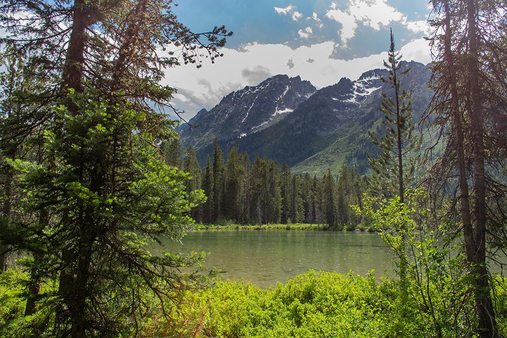 String Lake-Grand Tetons National Park-Wyoming-USA art print by Roddy Scheer for $57.95 CAD