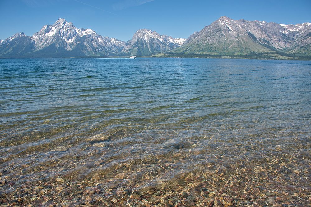 Lakeshore Trail-Colter Bay-Grand Tetons National Park-Wyoming-USA art print by Roddy Scheer for $57.95 CAD