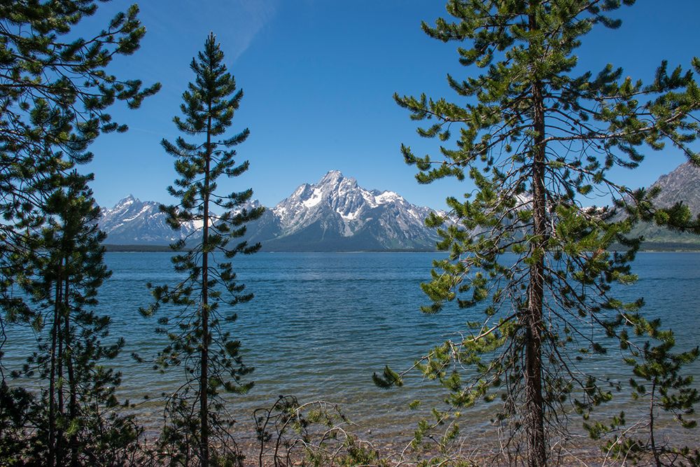Grand Tetons-Lakeshore Trail-Colter Bay-Grand Tetons National Park-Wyoming-USA art print by Roddy Scheer for $57.95 CAD