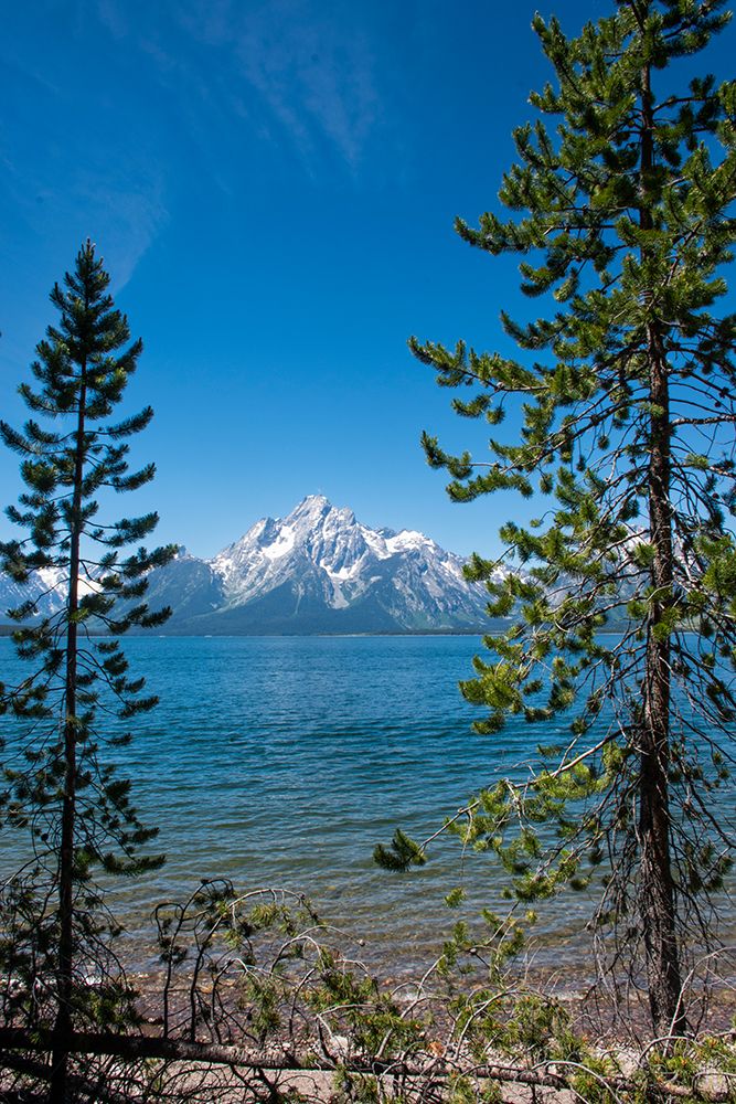 Lakeshore Trail-Colter Bay-Grand Tetons National Park-Wyoming-USA art print by Roddy Scheer for $57.95 CAD