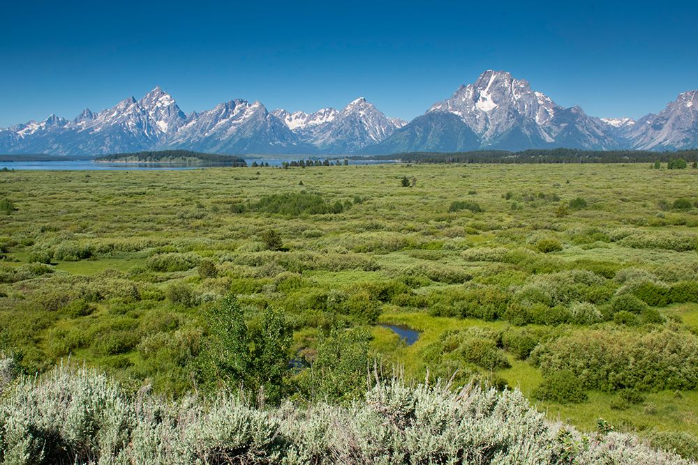 Lunch Tree Hill-Grand Teton National Park-Wyoming-Usa. art print by Roddy Scheer for $57.95 CAD