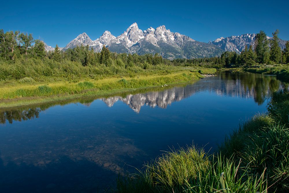 Schwabacher Landing-Grand Teton National Park-Wyoming-USA art print by Roddy Scheer for $57.95 CAD
