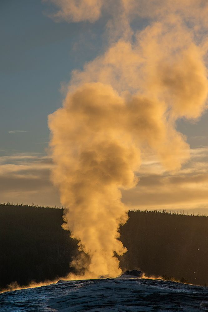 Old Faithful Geyser Eruption-Yellowstone National Park-Wyoming-Usa. art print by Roddy Scheer for $57.95 CAD