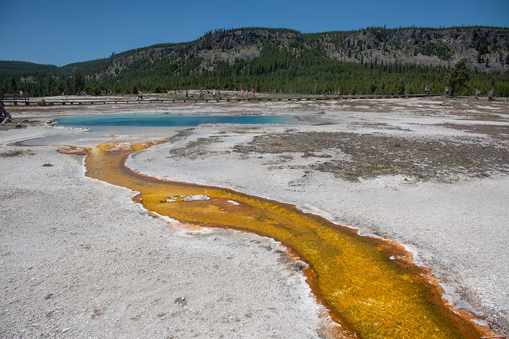 Yellowstone National Park-Wyoming-USA art print by Roddy Scheer for $57.95 CAD