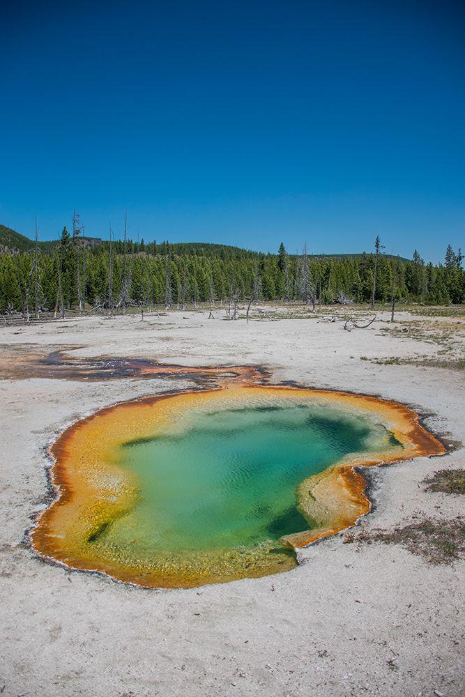 Avoca Spring-Yellowstone National Park-Wyoming-USA art print by Roddy Scheer for $57.95 CAD