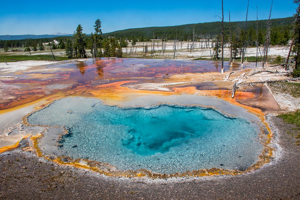 Firehole Spring-Firehole Lake Road-Yellowstone National Park-Wyoming-USA art print by Roddy Scheer for $57.95 CAD