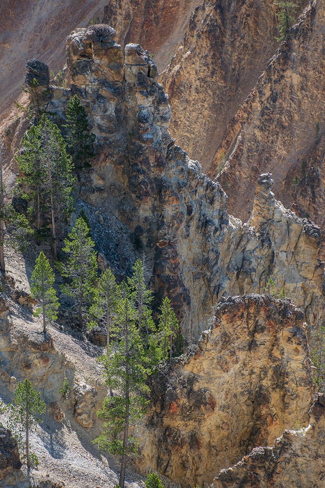 Grand Canyon of the Yellowstone-Yellowstone National Park-Wyoming-USA art print by Roddy Scheer for $57.95 CAD