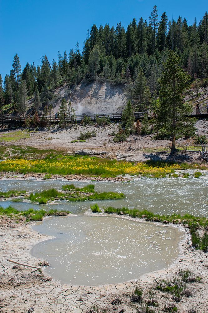 Mud Volcano-Yellowstone National Park-Wyoming-USA art print by Roddy Scheer for $57.95 CAD