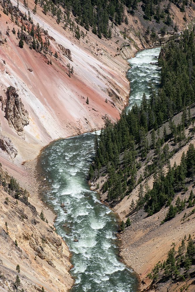 Artist Point-Grand Canyon of the Yellowstone-Yellowstone National Park-Wyoming-USA art print by Roddy Scheer for $57.95 CAD