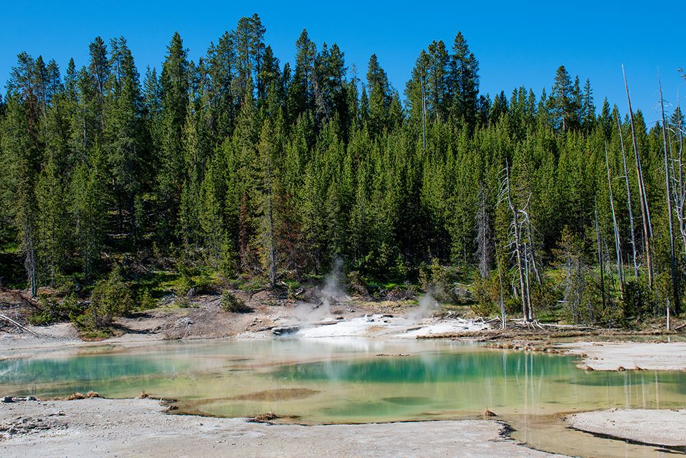 Porcelain Basin-Norris Geyser Basin-Yellowstone National Park-Wyoming-USA art print by Roddy Scheer for $57.95 CAD