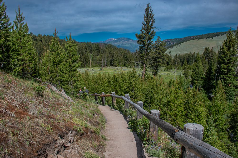 Wraith Falls-Yellowstone National Park-Wyoming-USA art print by Roddy Scheer for $57.95 CAD