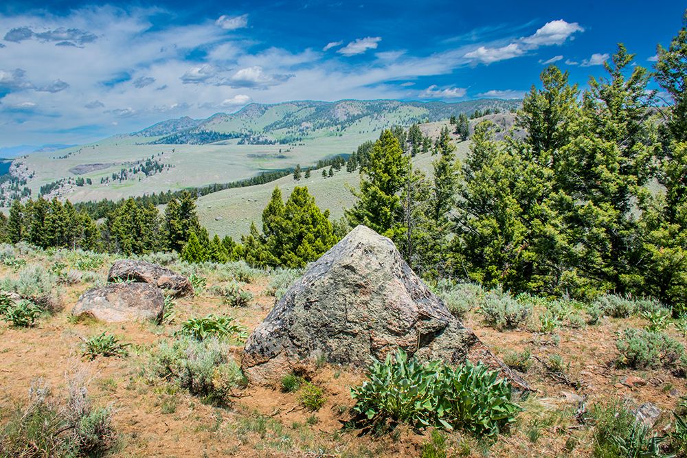 Yellowstone River Picnic Area-Yellowstone National Park-Wyoming-USA art print by Roddy Scheer for $57.95 CAD