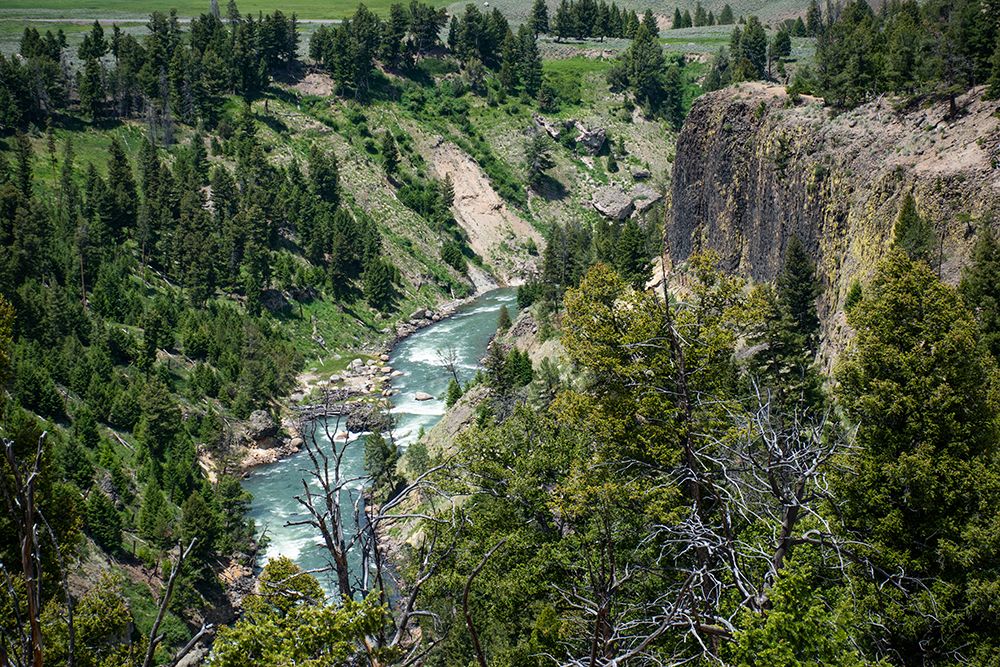 Yellowstone River Picnic Area-Yellowstone National Park-Wyoming-USA art print by Roddy Scheer for $57.95 CAD