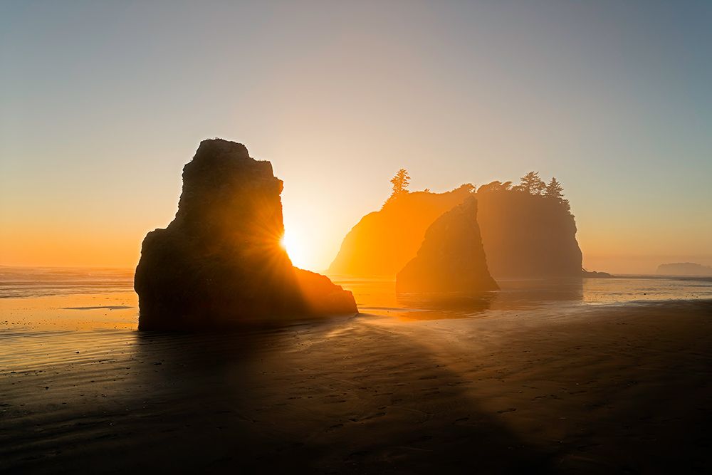 The Golden Beach art print by John Fan for $57.95 CAD