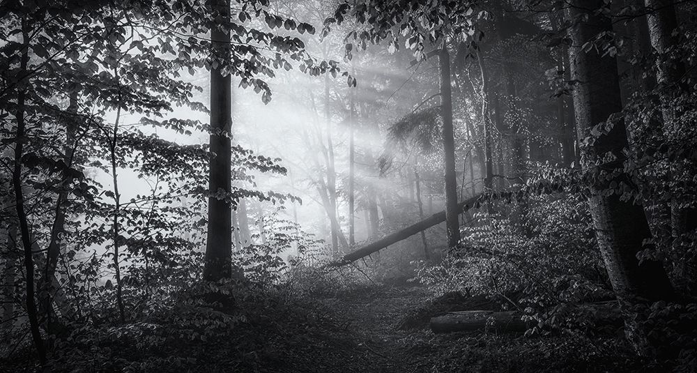 Point Of No Return ... art print by Norbert Maier for $57.95 CAD