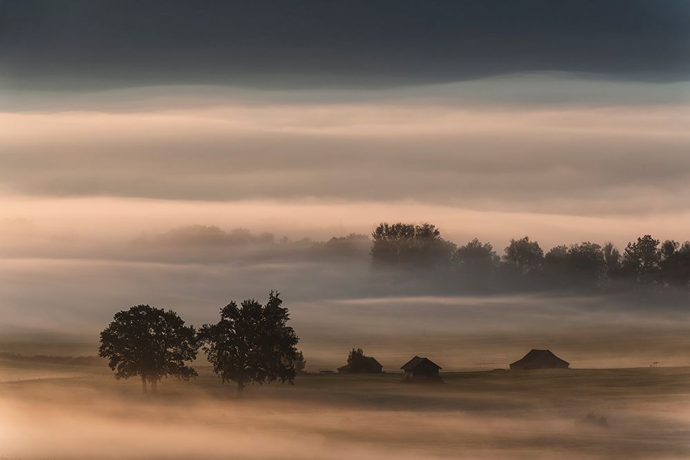 Dense Fog Over The Moos... art print by Nina Pauli for $57.95 CAD