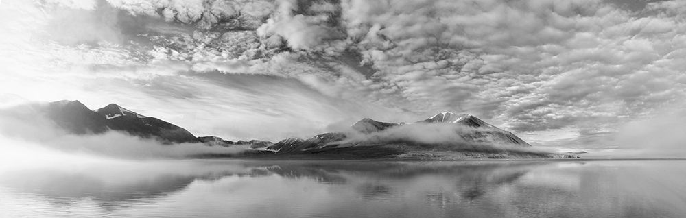 Morning Mist art print by Marloes Van Pareren for $57.95 CAD