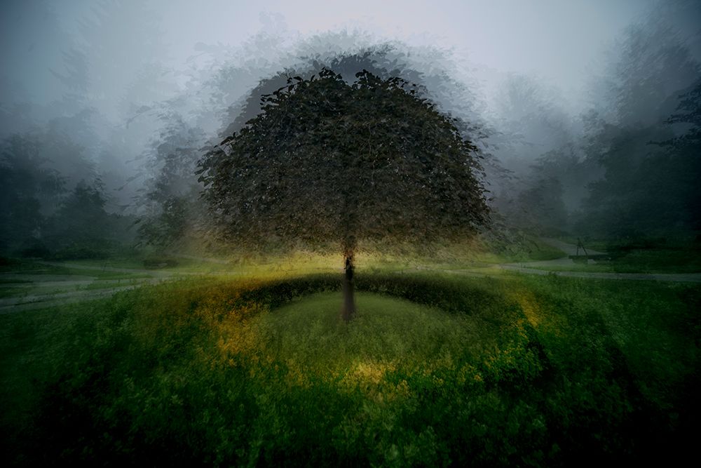 Eden Place art print by Milan Malovrh for $57.95 CAD