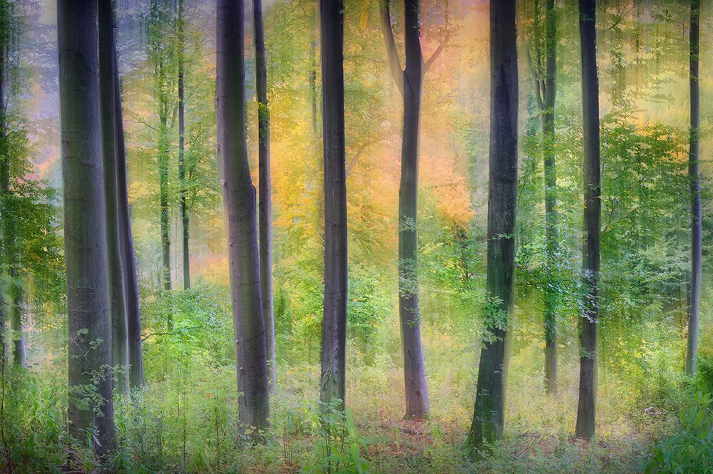 Dreamy art print by Burger Jochen for $57.95 CAD