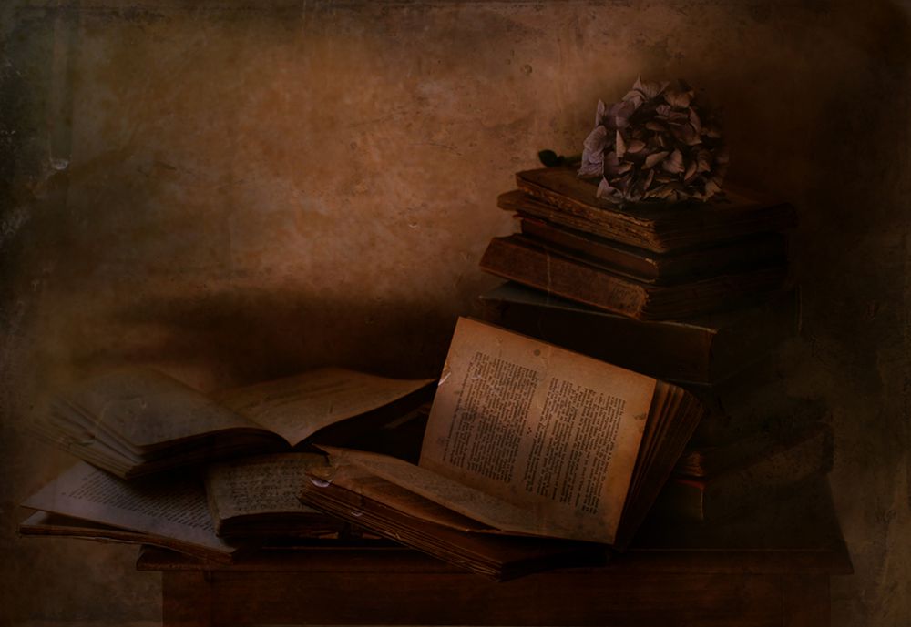 Old books art print by Delphine Devos for $57.95 CAD