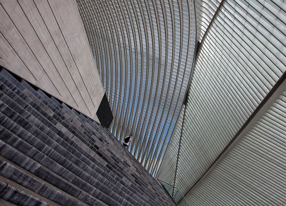 LiAuge-Guillemins art print by Yvette Depaepe for $57.95 CAD
