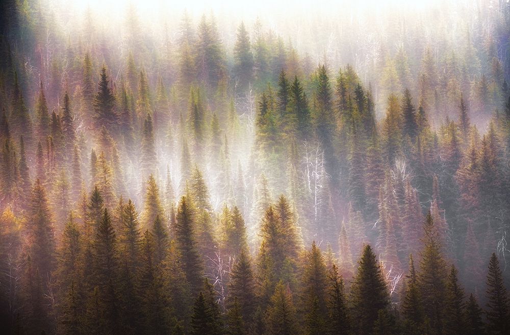 Untitled art print by Atul Chopra for $57.95 CAD