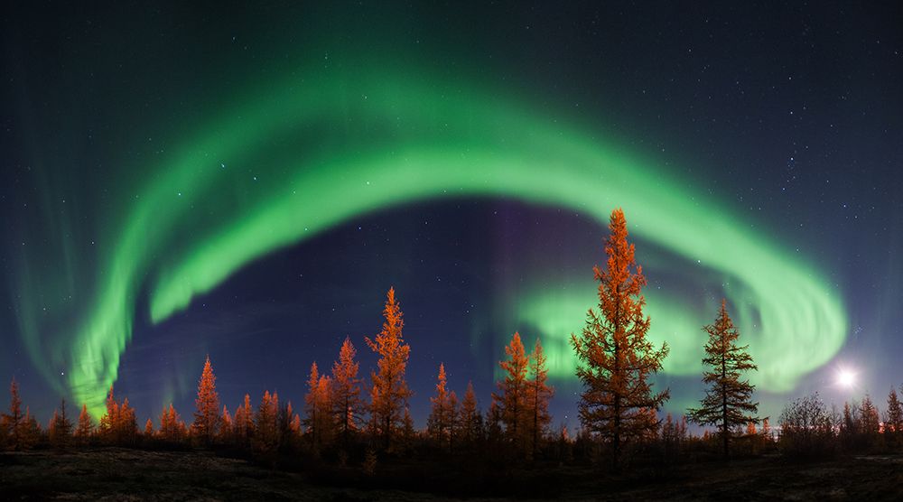 Northern Lights art print by Andrey Snegirev for $57.95 CAD