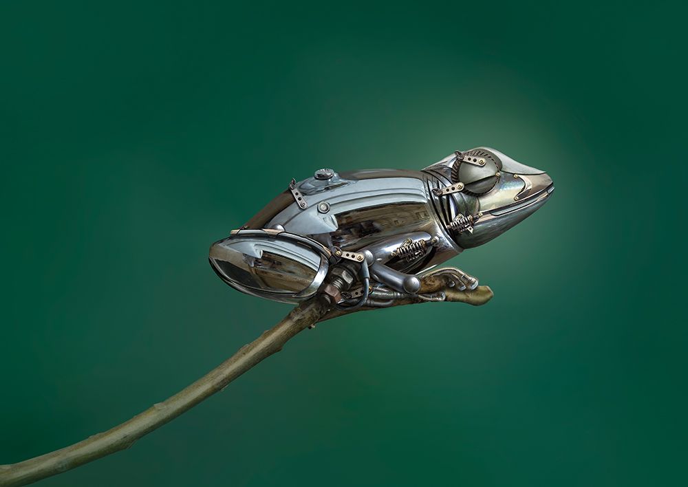 Frog art print by Sulaiman Almawash for $57.95 CAD