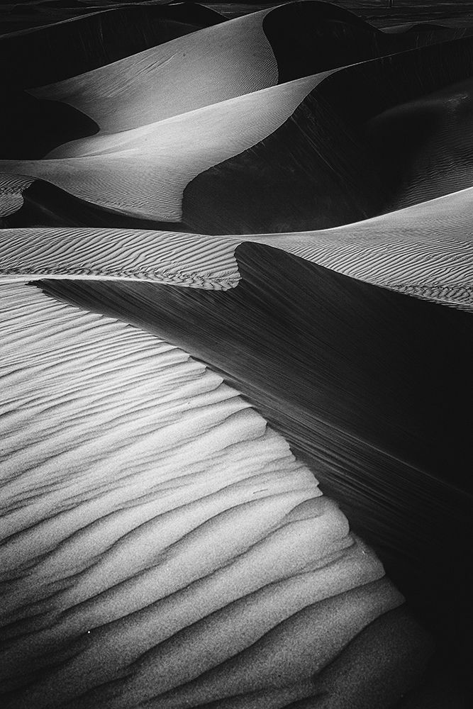 Desert Light art print by Rami Al Adwan for $57.95 CAD