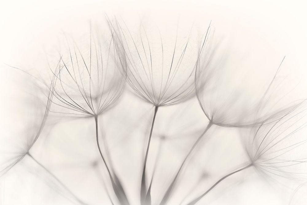 No Title art print by Jakob Arnholtz for $57.95 CAD