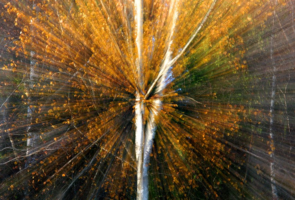 Zoom art print by Bror Johansson for $57.95 CAD
