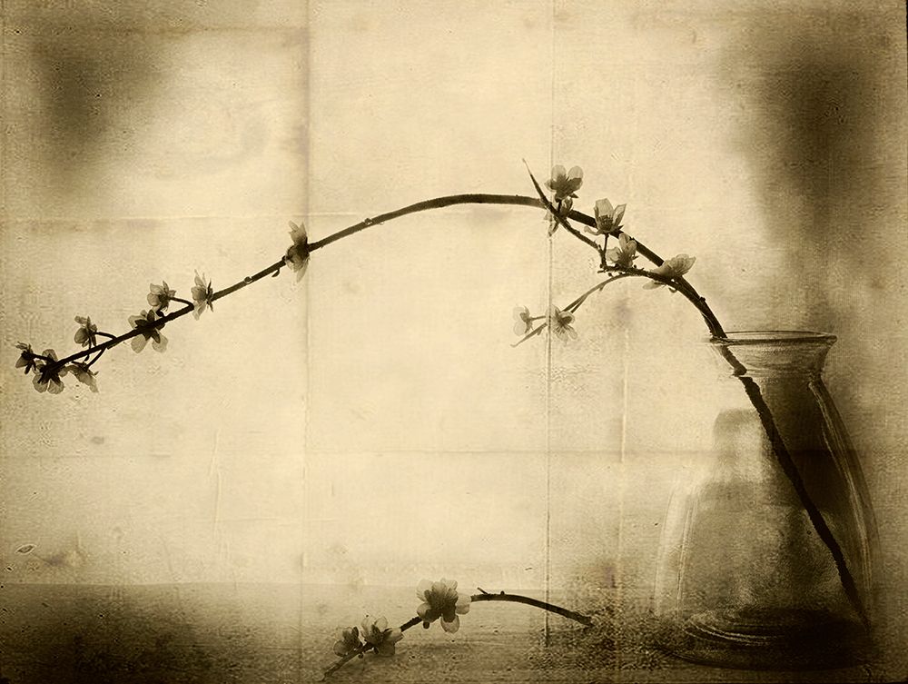Zen art print by Jeffrey Hummel for $57.95 CAD