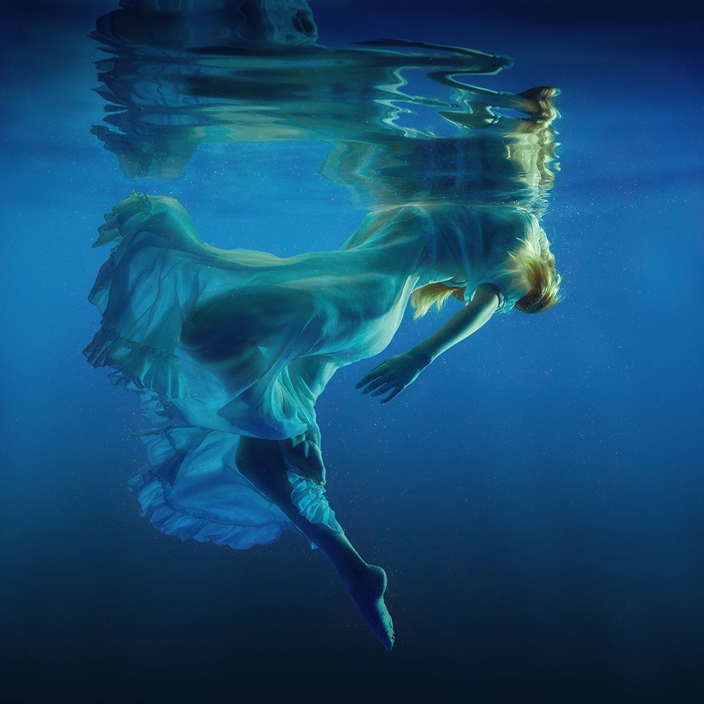 Symphony art print by Dmitry Laudin for $57.95 CAD