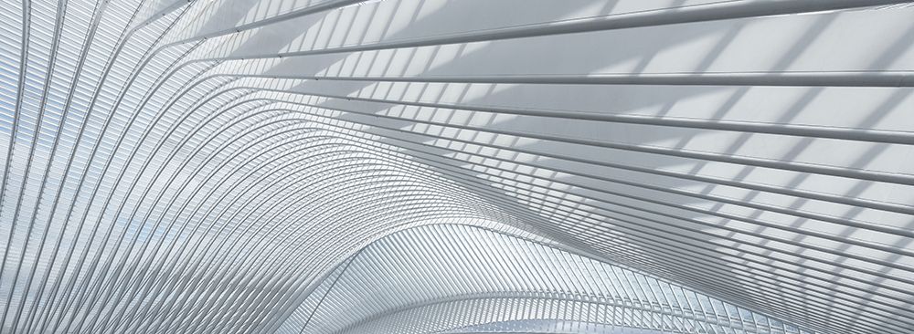 Guillemins art print by Joachim Bruederl for $57.95 CAD