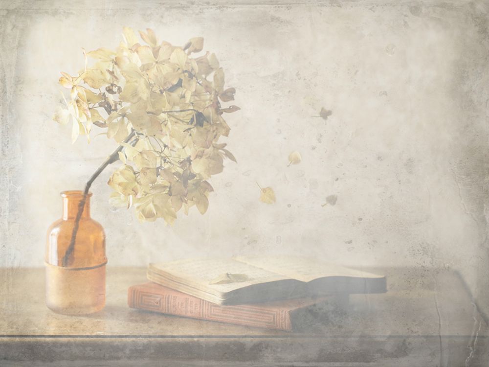 October Bliss art print by Delphine Devos for $57.95 CAD