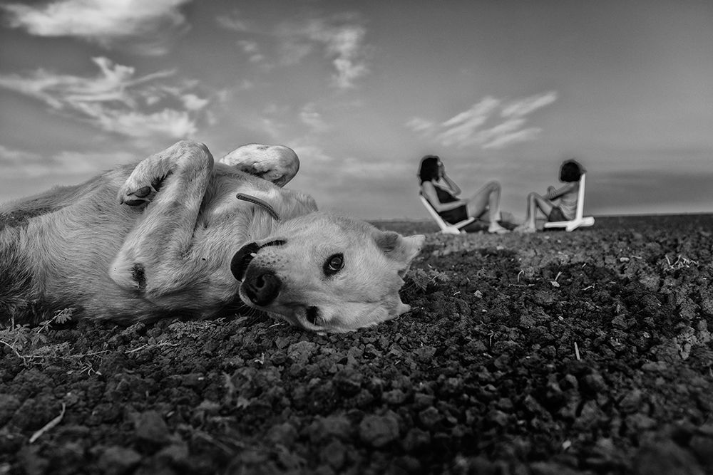 Waiting Patiently art print by Avi Morag for $57.95 CAD