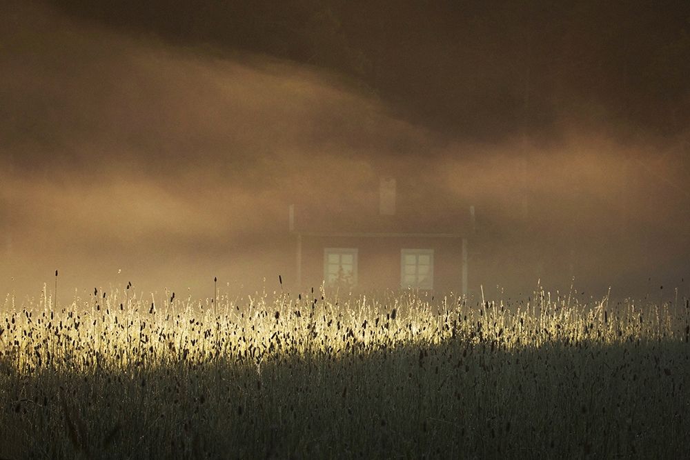 A Small Red Cottage art print by Allan Wallberg for $57.95 CAD