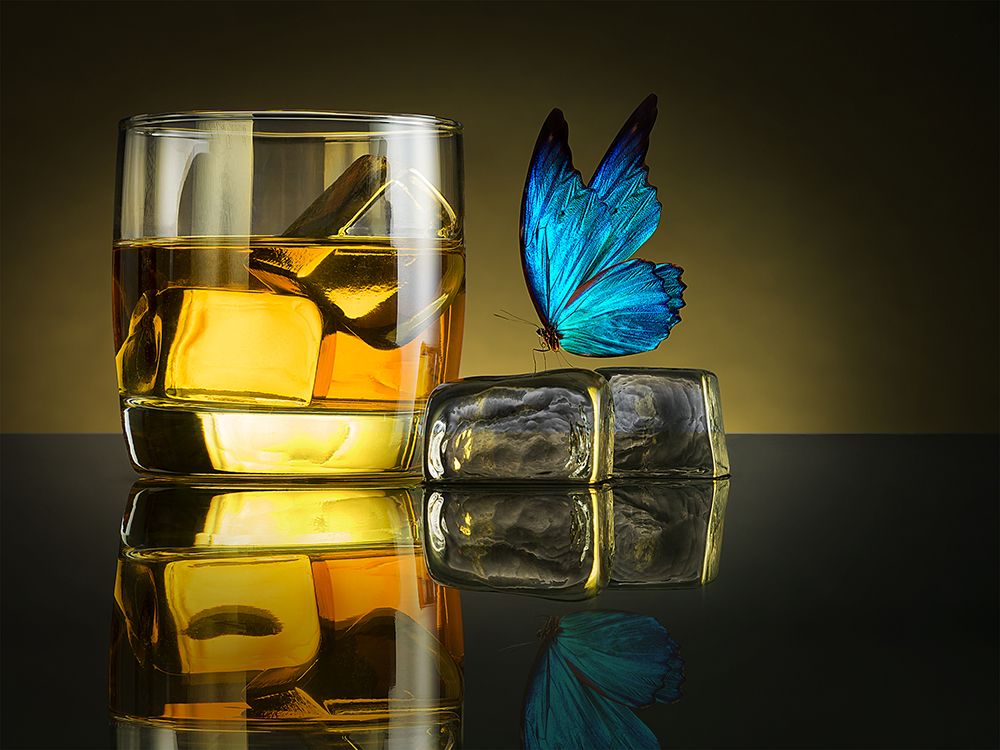 Butterfly Drink art print by Jackson Carvalho for $57.95 CAD