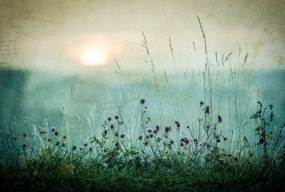Autumn Sunrise art print by Åsmund Kværnstrøm for $57.95 CAD