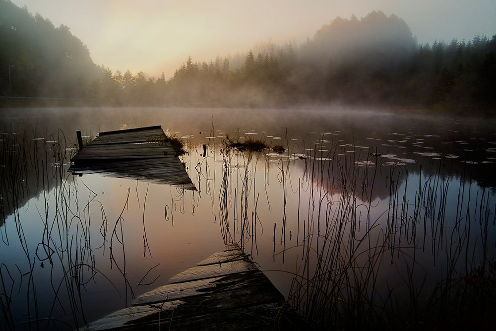 In The Misty Morning art print by Willy Marthinussen for $57.95 CAD