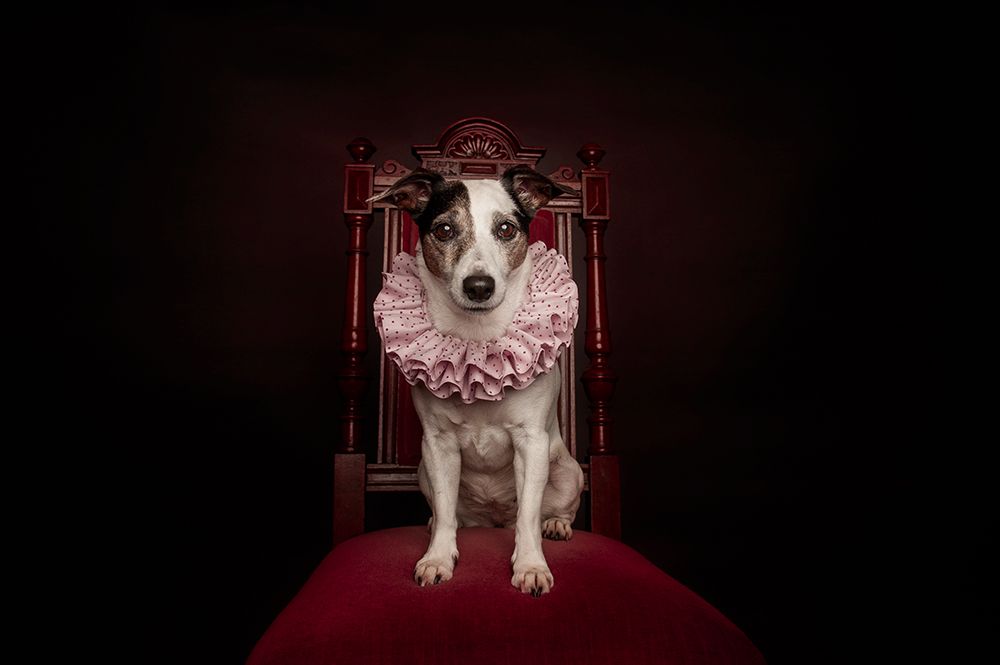 The Queen art print by Heike Willers for $57.95 CAD