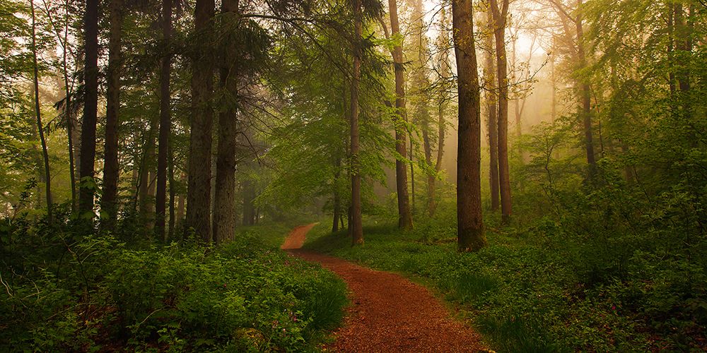 The Red Path. art print by Leif Londal for $57.95 CAD