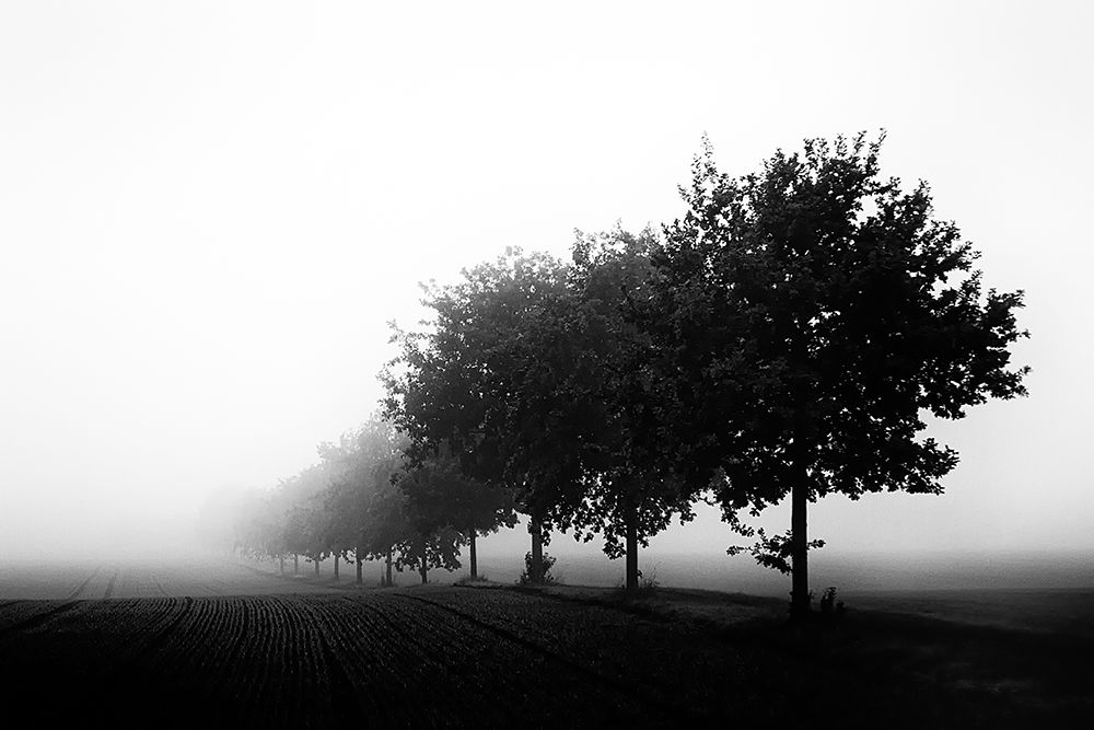 Foggy Day art print by Oliver Buchmann for $57.95 CAD