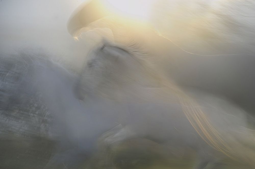 a dream art print by Milan Malovrh for $57.95 CAD