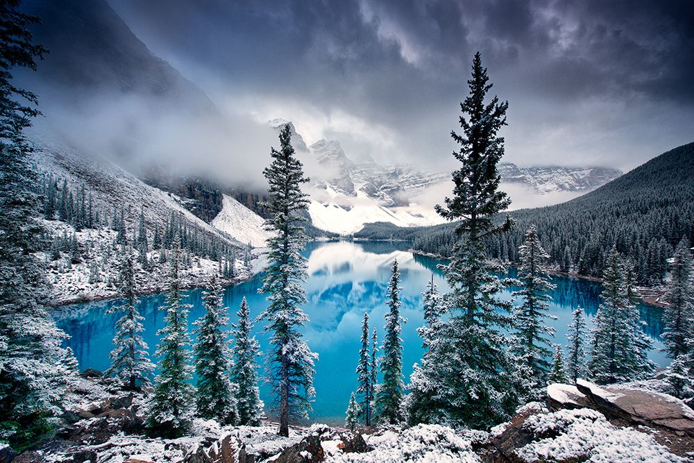 Morning Blues art print by Trevor Cole for $57.95 CAD