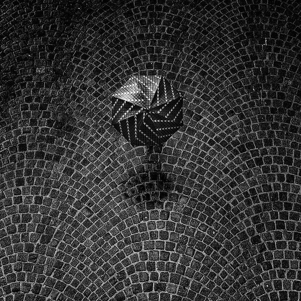 The Black Umbrella art print by Massimo Della Latta for $57.95 CAD