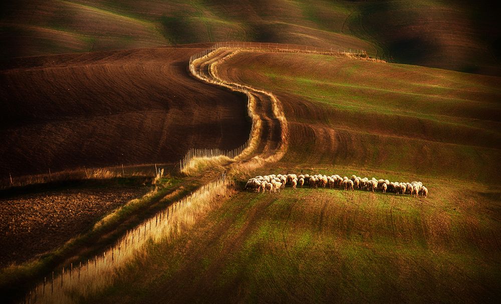 Crossing The Fields art print by Peter Svoboda Mqep for $57.95 CAD
