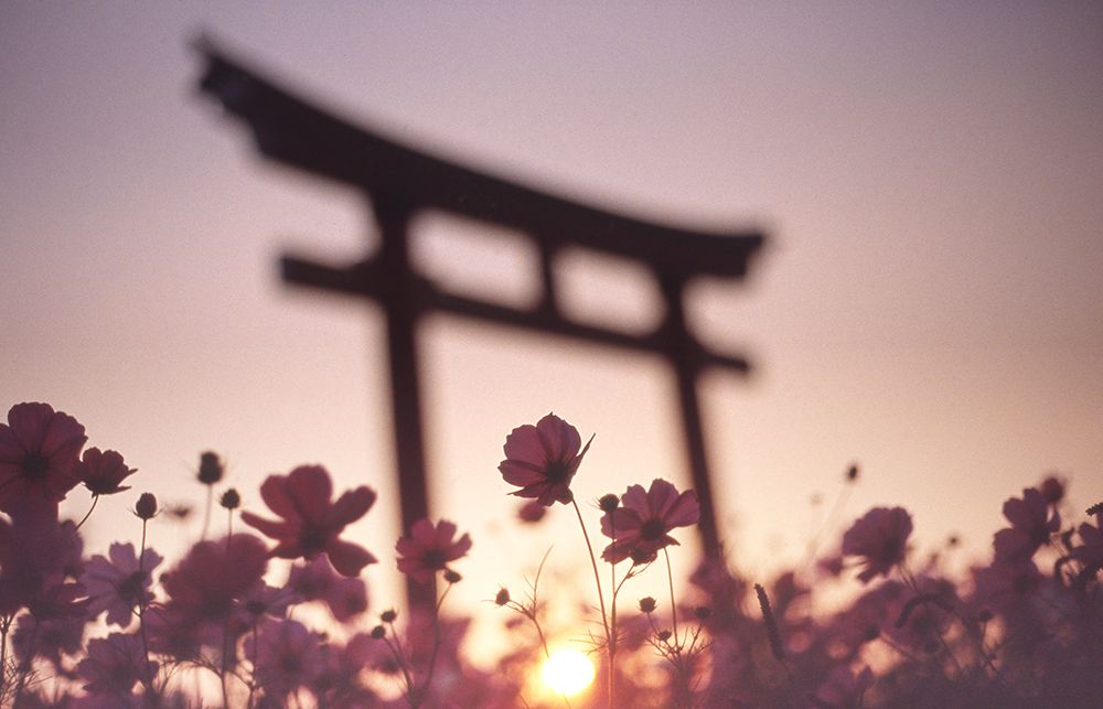 Melancholic Autumn art print by Koji Tajima for $57.95 CAD