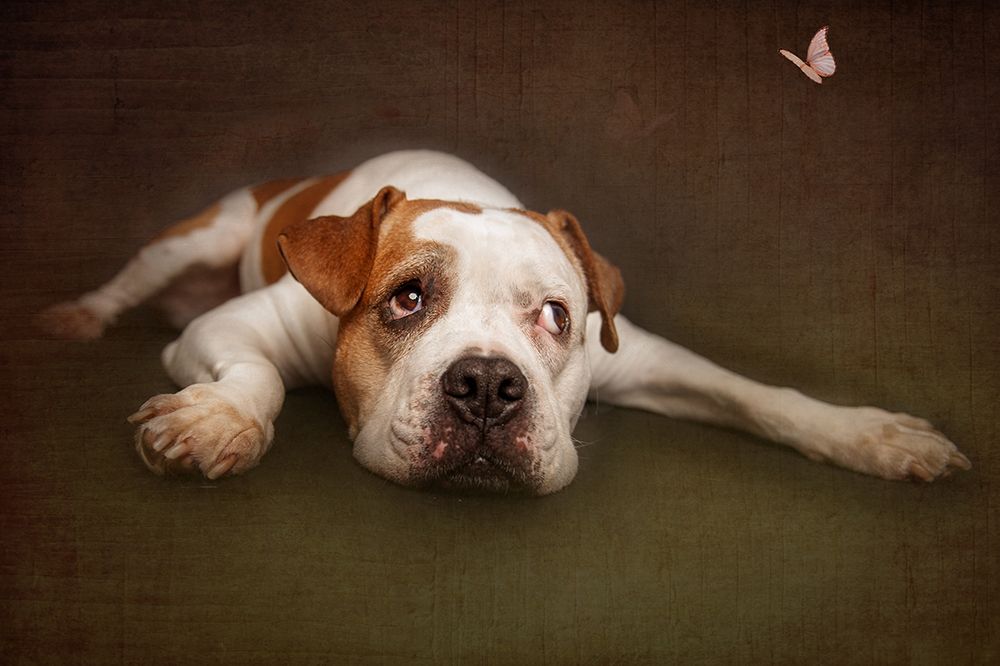 Illusion art print by Heike Willers for $57.95 CAD