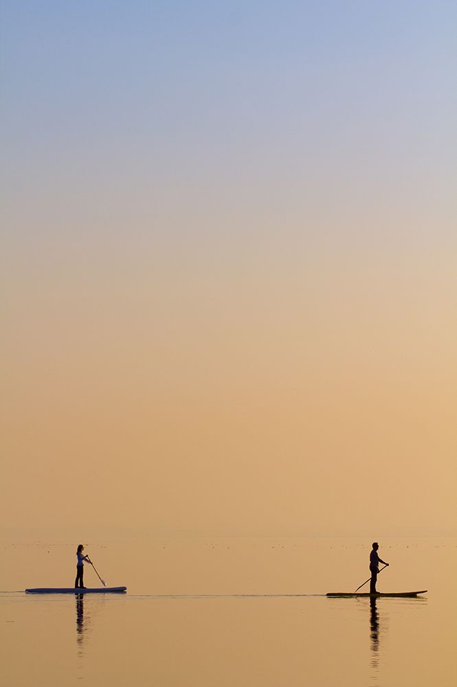 Companions art print by Peter Krenek for $57.95 CAD